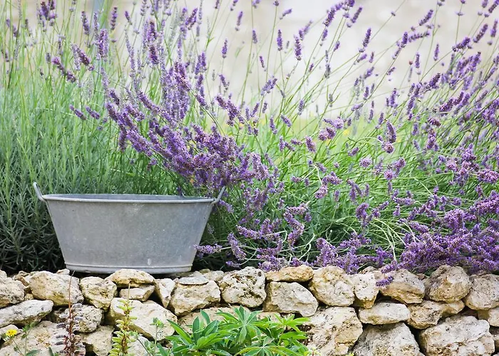 D'hôtes Domaine De Nazère Bed & Breakfast 4*