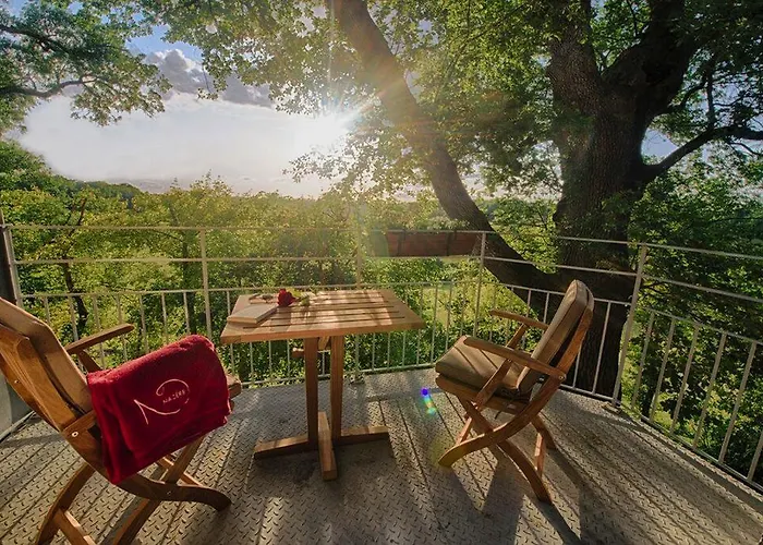 Bed & Breakfast D'hôtes Domaine De Nazère