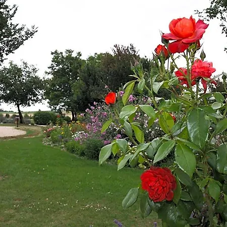 D'hotes Domaine De Nazere Avezan