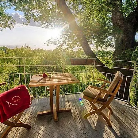 D'hotes Domaine De Nazere 4* Avezan