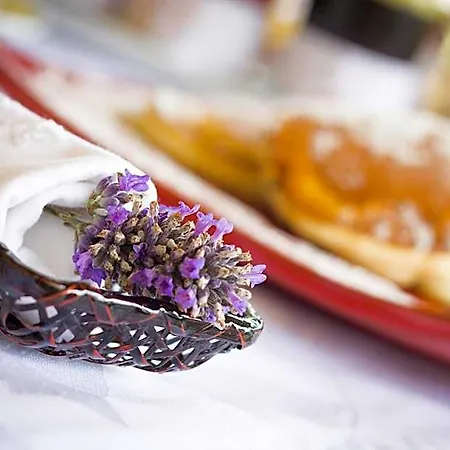 D'hotes Domaine De Nazere Bed & Breakfast Avezan