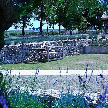 D'hotes Domaine De Nazere Bed & Breakfast Avezan