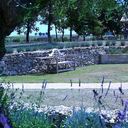 D'hotes Domaine De Nazere