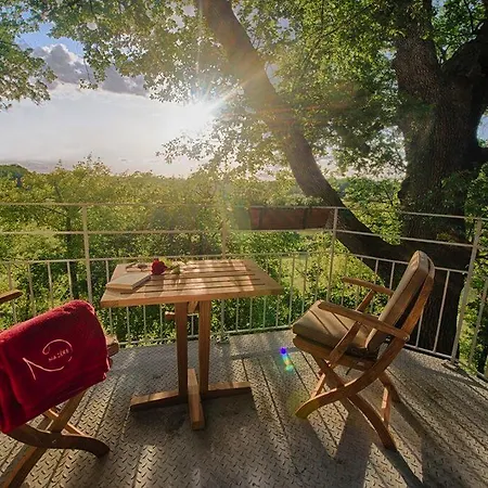 Bed & Breakfast Chambres D'hotes Domaine De Nazere